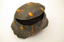 Shell of Madagascar tortoise converted into a box - Forani Turtle Collection