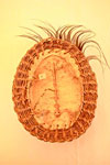 New Guinea carapace mask, seen from the back
