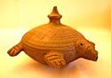 Indian water pot - Forani Turtle Collection