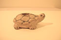 Annamese water-dripper - Forani Turtle Collection