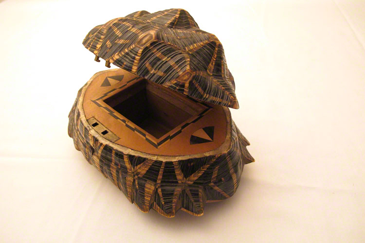 Shell of Indian tortoise converted into a box - Forani Collection